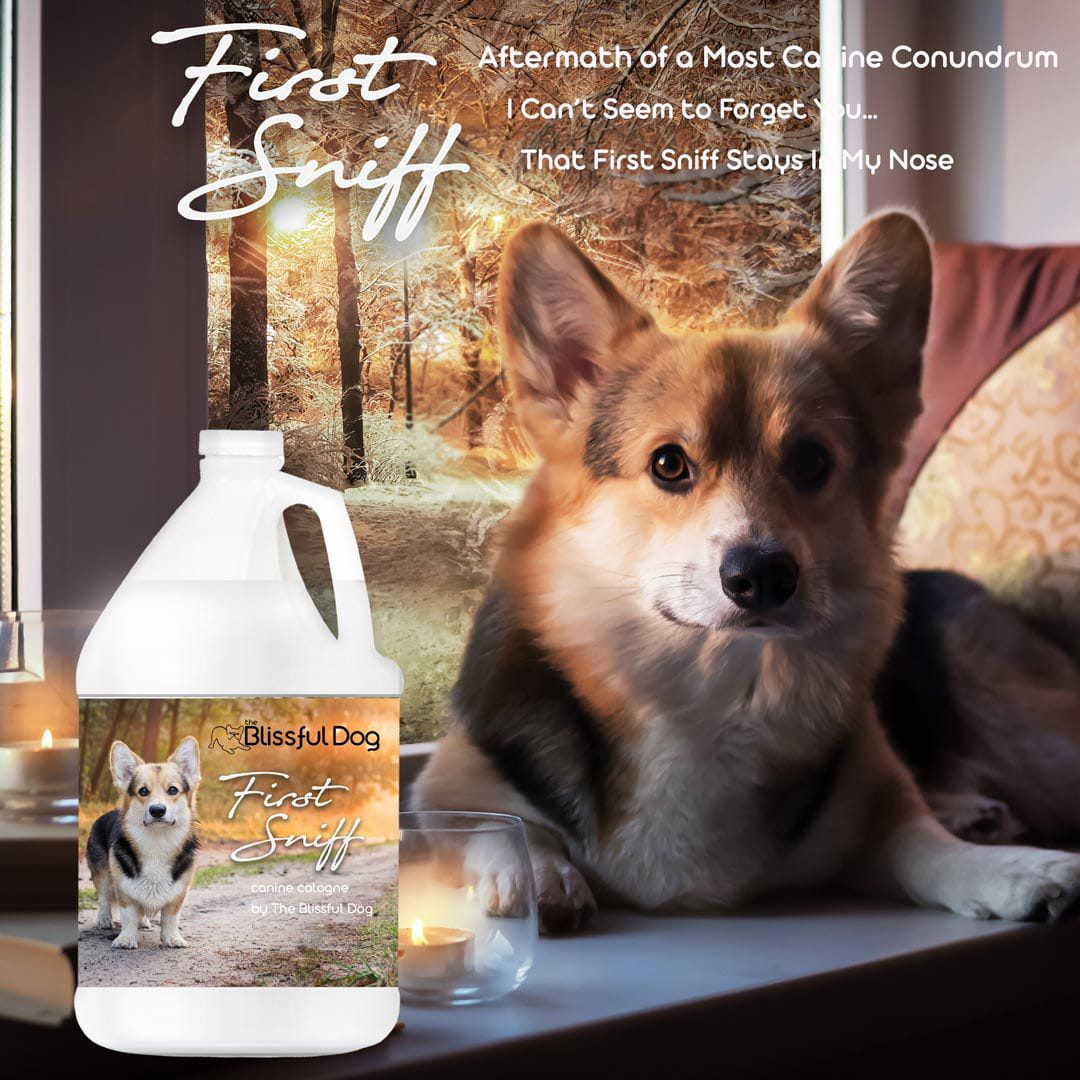 Eau de Cologne pour chien First Sniff - Votre première odeur reste gravée dans ma mémoire 