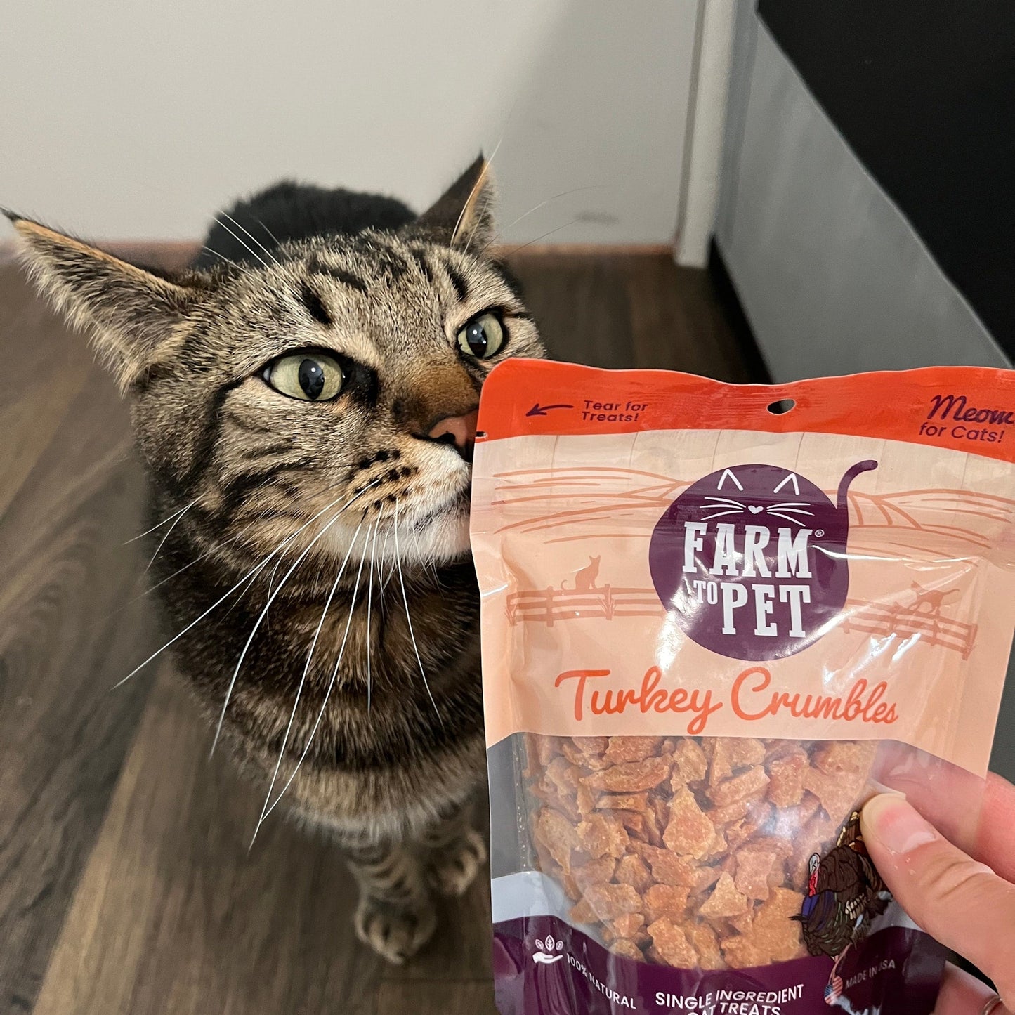 Crumble de pavo para gatos | Golosinas sin cereales para gatos