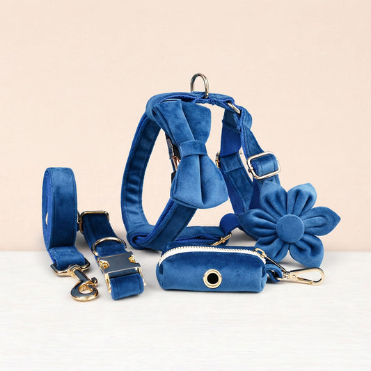 Ensemble classique personnalisé en velours bleu