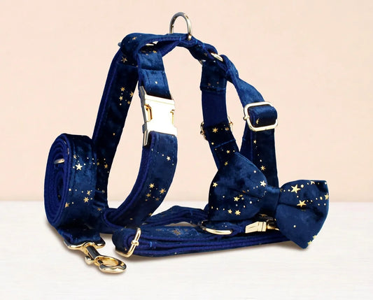 Ensemble classique personnalisé en velours bleu foncé