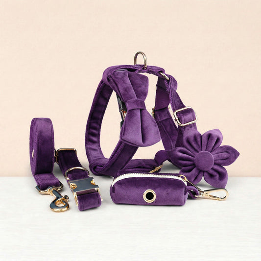 Ensemble classique personnalisé en velours violet