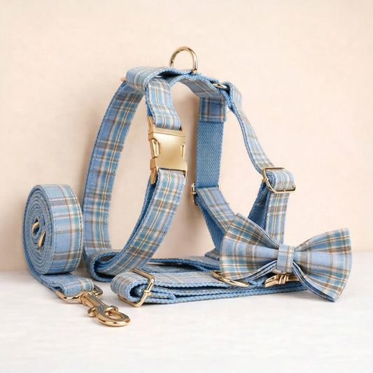 Ensemble collier, laisse et harnais pour chien, motif à carreaux bleus