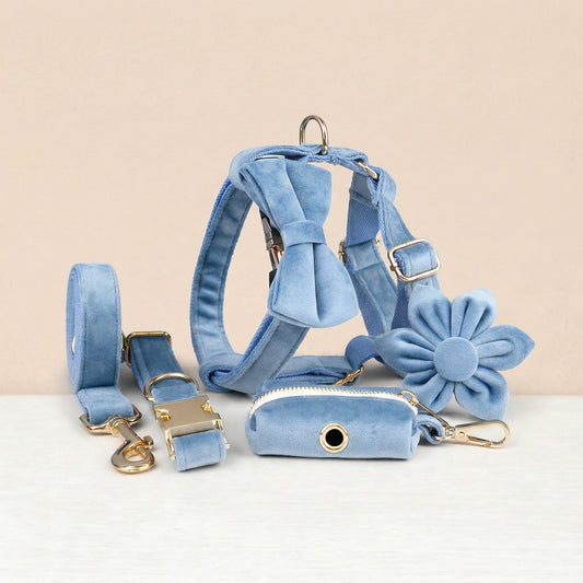 Ensemble classique personnalisé en velours bleu