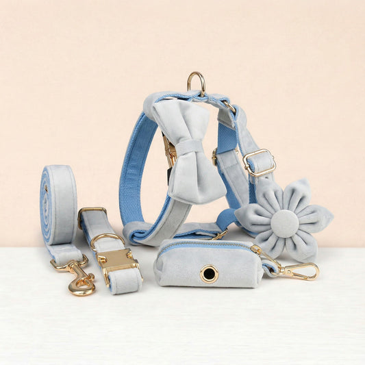 Ensemble classique personnalisé en velours bleu clair