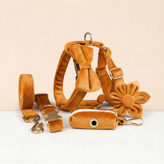 Ensemble classique personnalisé en velours orange
