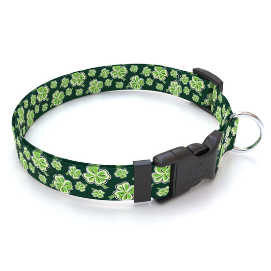 Collier pour chien à quatre feuilles en forme de trèfle