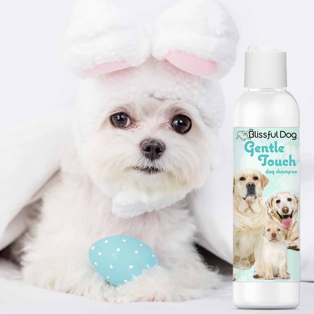 Champú y jabón para perros Gentle Touch 