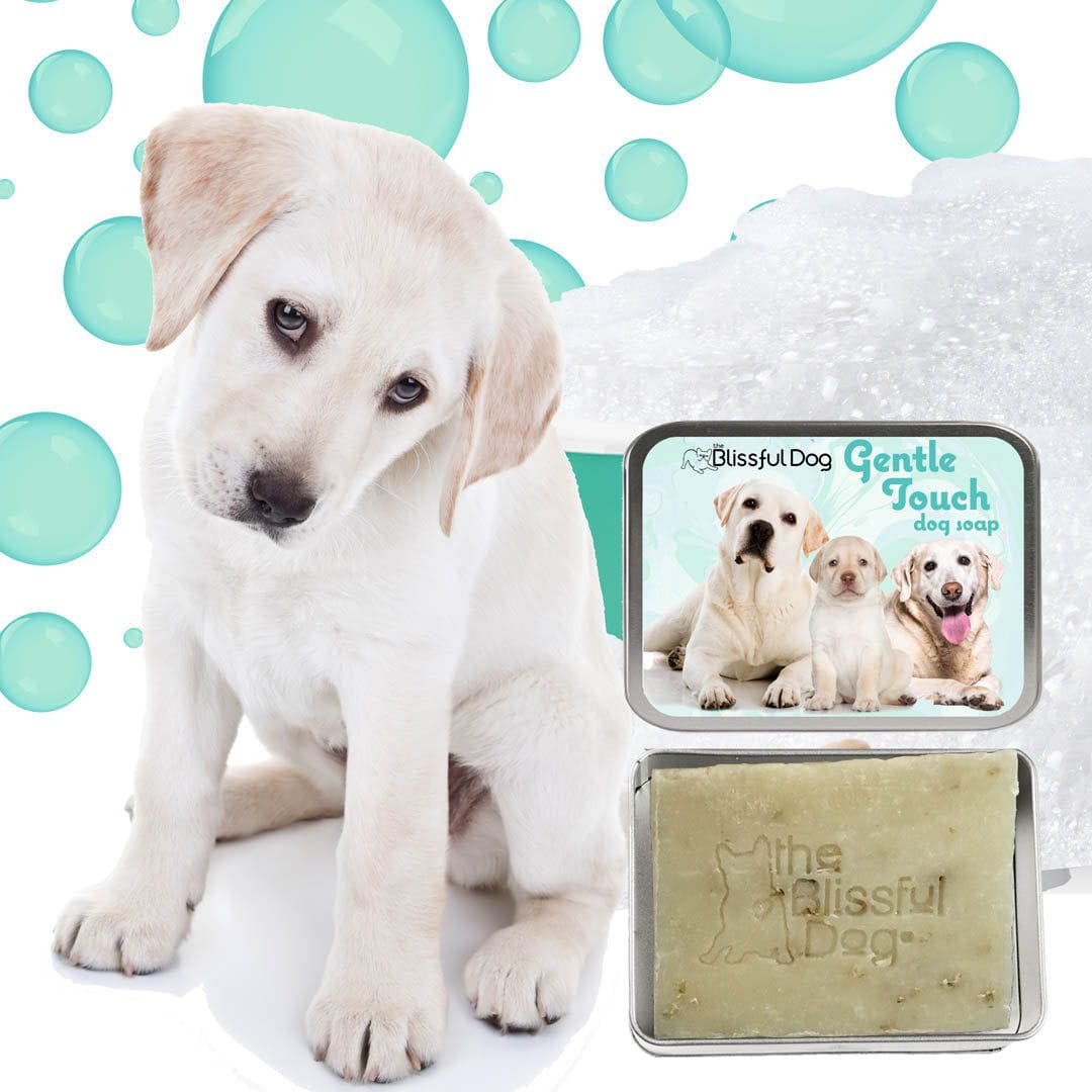 Champú y jabón para perros Gentle Touch 