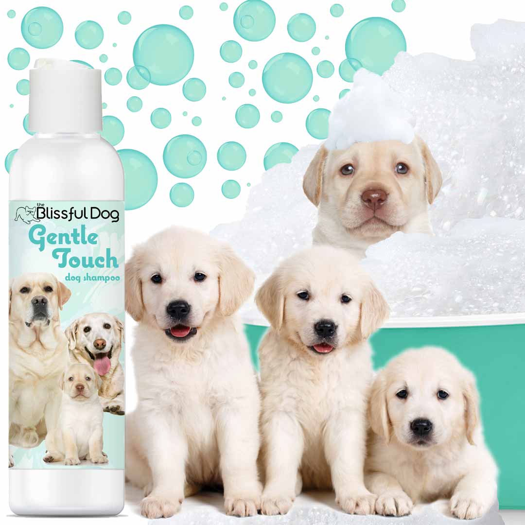 Champú y jabón para perros Gentle Touch 