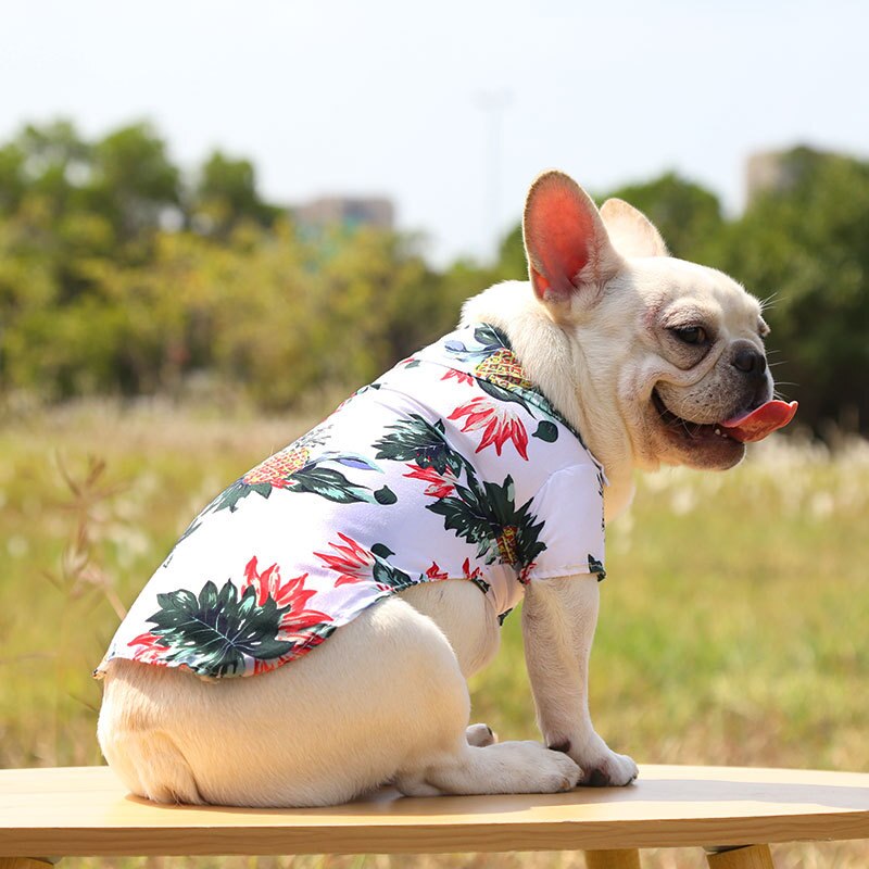 Camisas hawaianas para mascotas