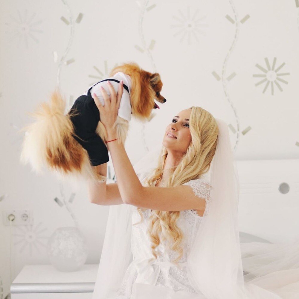Costume élégant pour animaux de compagnie avec nœud papillon 