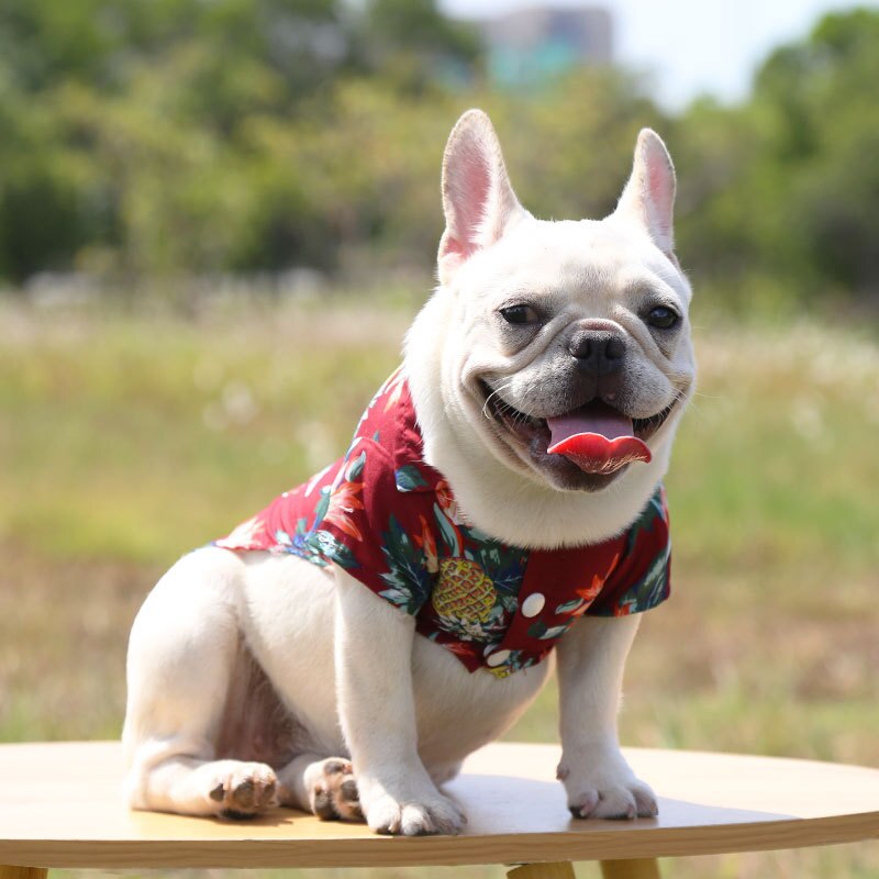Camisas hawaianas para mascotas