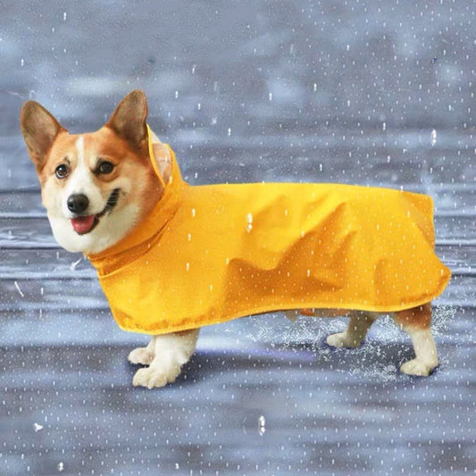Chubasquero y poncho impermeable para perros con protección abdominal de Dach Everywhere