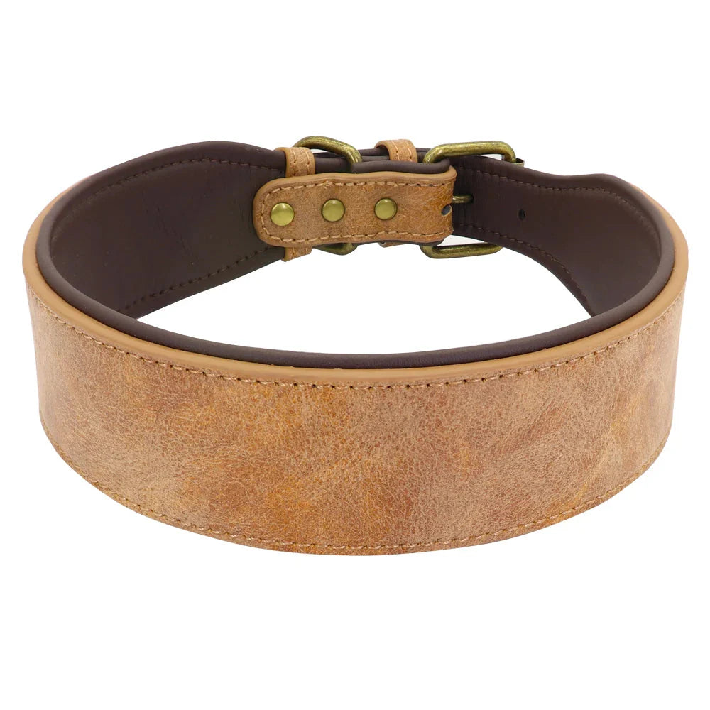 Collier Large Luxe - Cuir rembourré pour grands chiens
