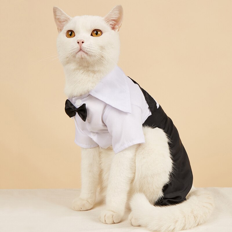 Costume élégant pour animaux de compagnie avec nœud papillon 