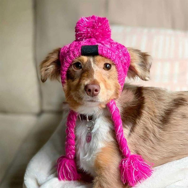 Gorros de punto cálidos para mascotas con bola esponjosa para otoño e invierno 