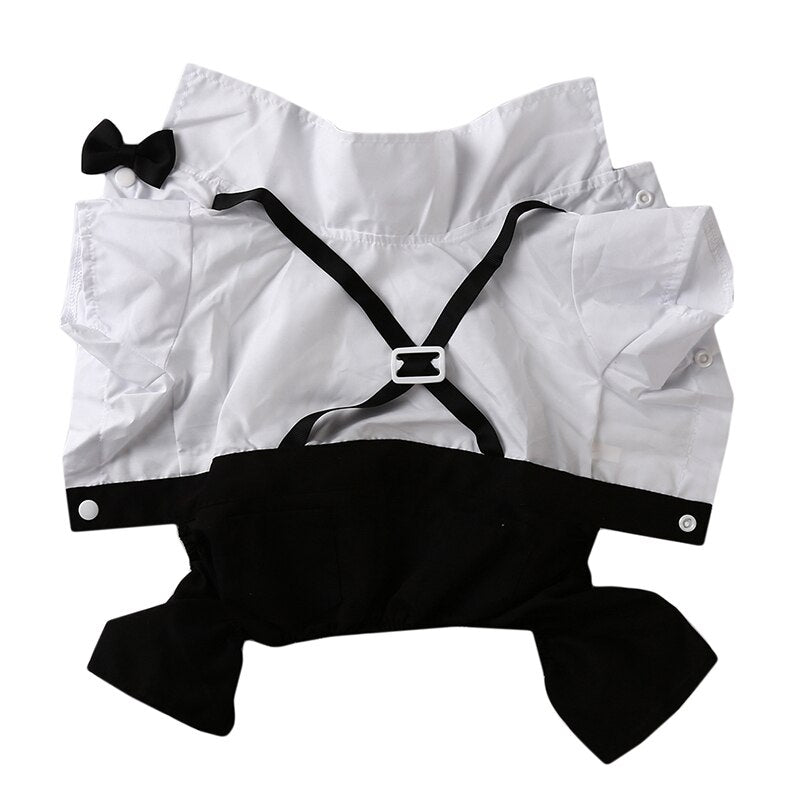 Costume élégant pour animaux de compagnie avec nœud papillon 