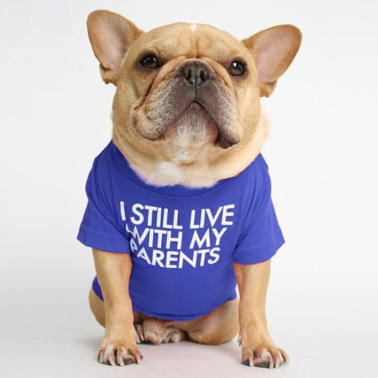 T-shirt « Je vis encore chez mes parents »