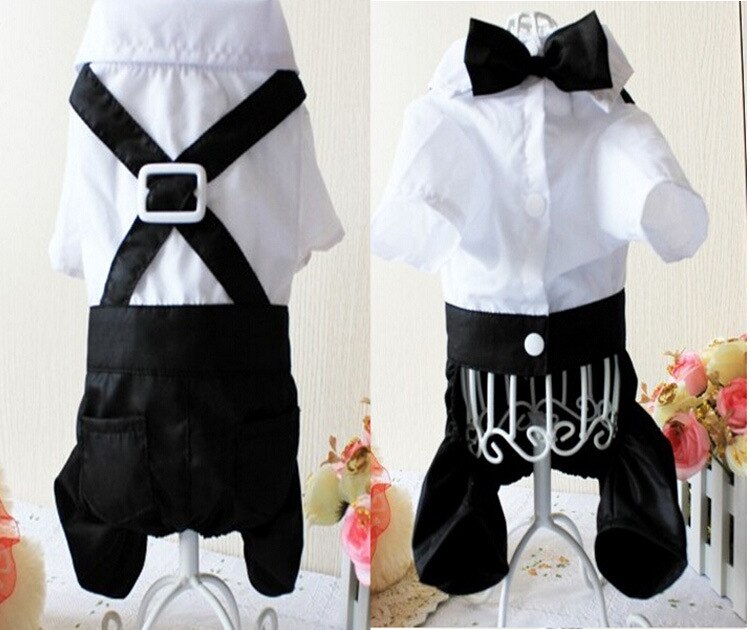 Costume élégant pour animaux de compagnie avec nœud papillon 
