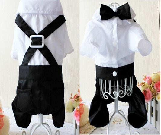Costume élégant pour animaux de compagnie avec nœud papillon 
