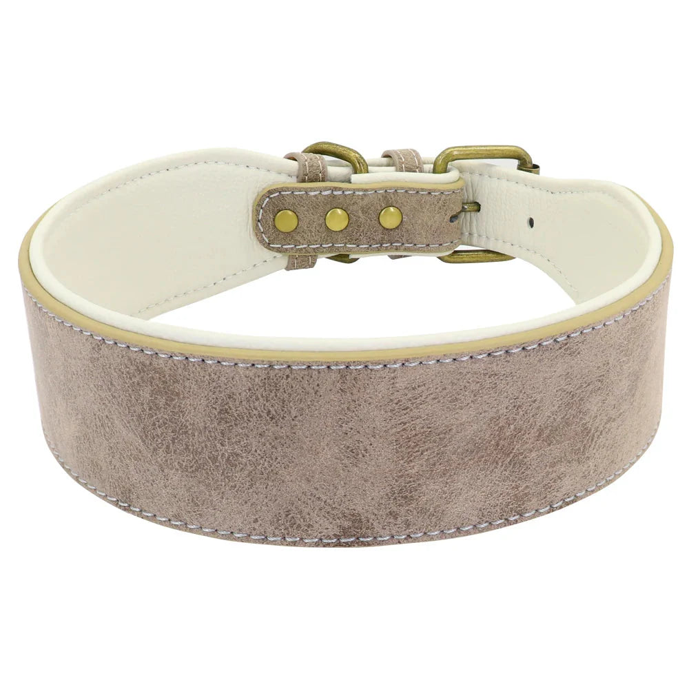 Collier Large Luxe - Cuir rembourré pour grands chiens