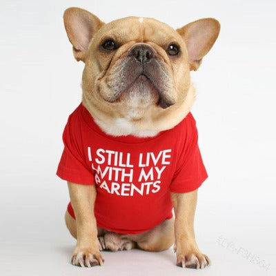 T-shirt « Je vis encore chez mes parents »
