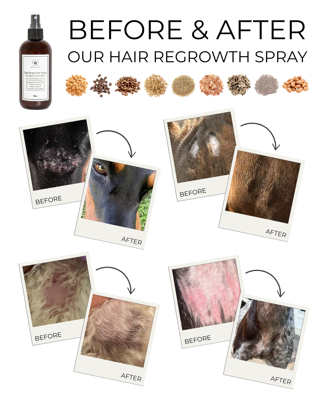 Spray para el crecimiento del pelo de perros y caballos