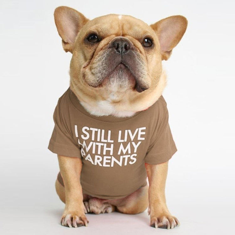 T-shirt « Je vis encore chez mes parents »