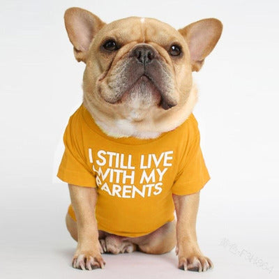 T-shirt « Je vis encore chez mes parents »