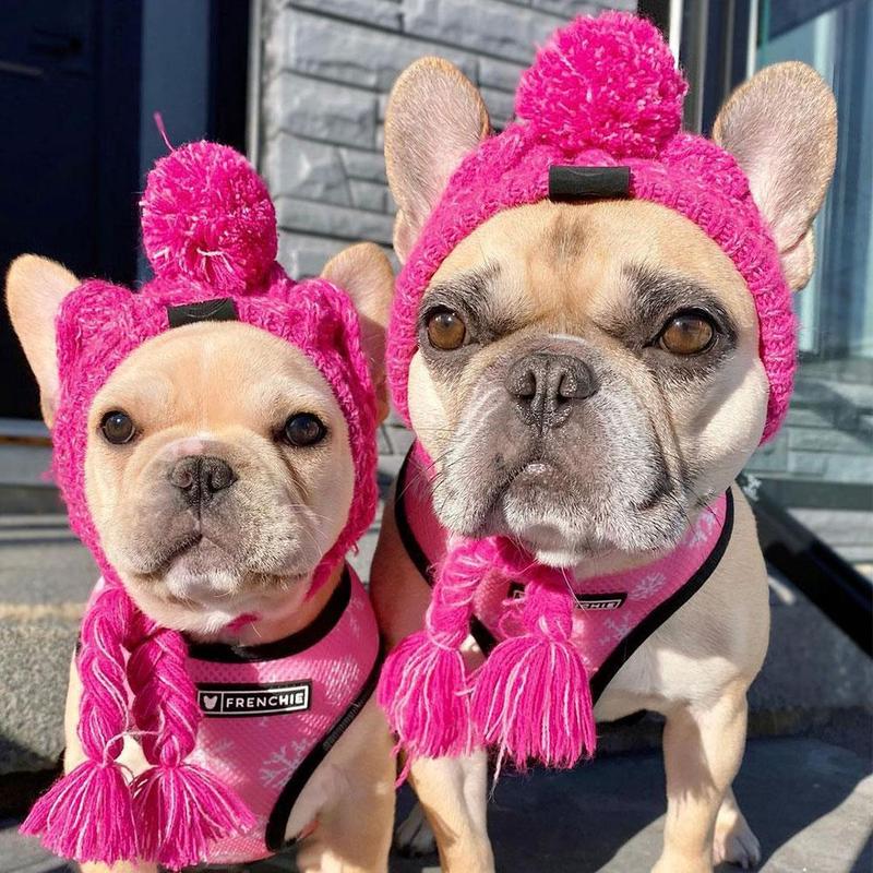 Gorros de punto cálidos para mascotas con bola esponjosa para otoño e invierno 