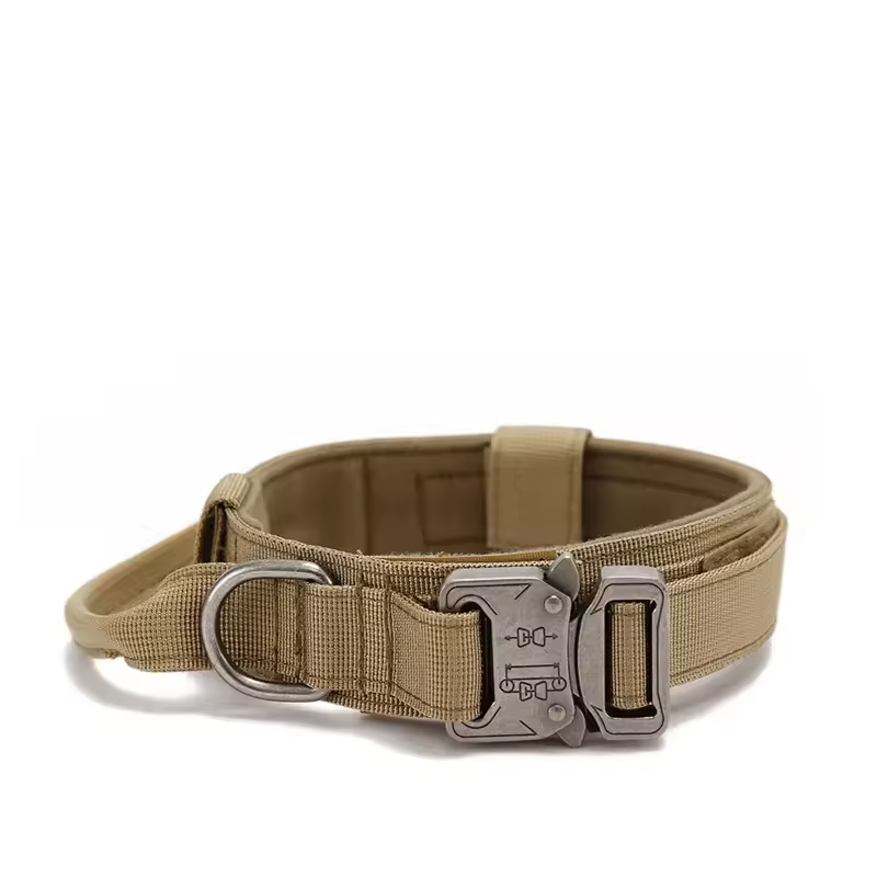 Breakaway 1.5 Dog Collar