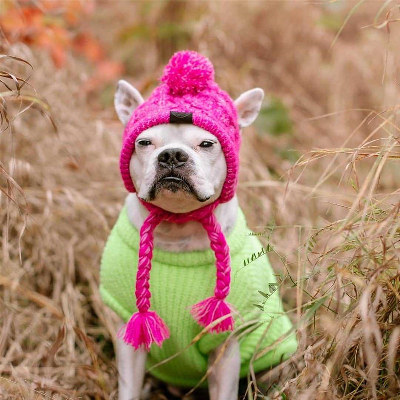 Gorros de punto cálidos para mascotas con bola esponjosa para otoño e invierno 