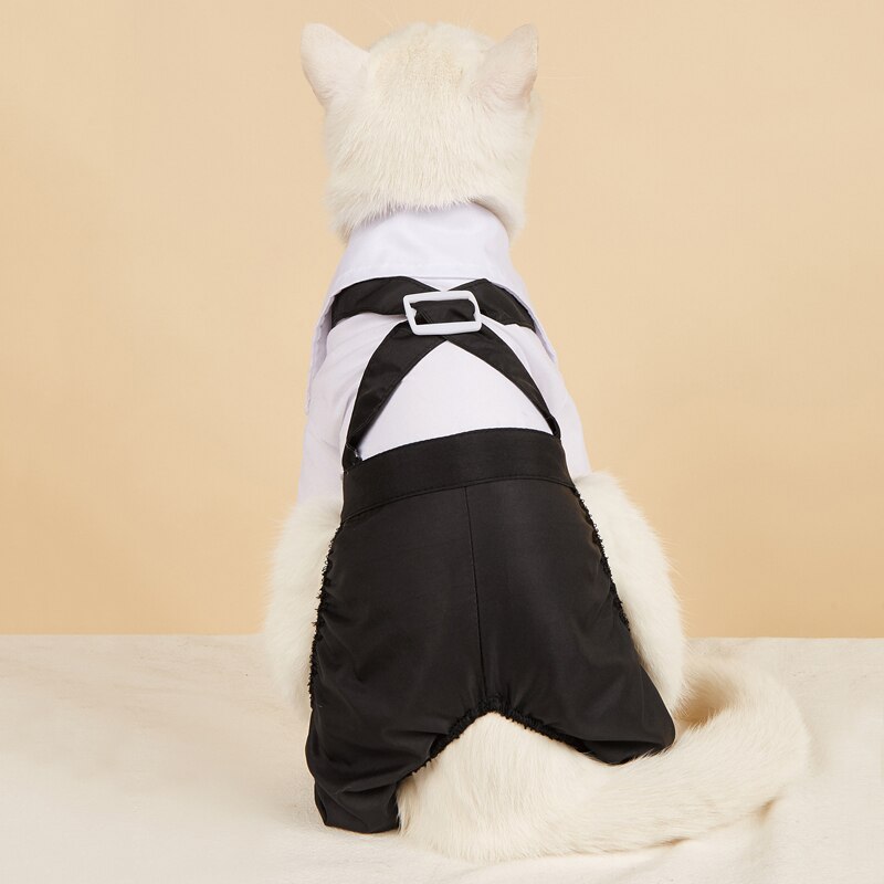 Costume élégant pour animaux de compagnie avec nœud papillon 