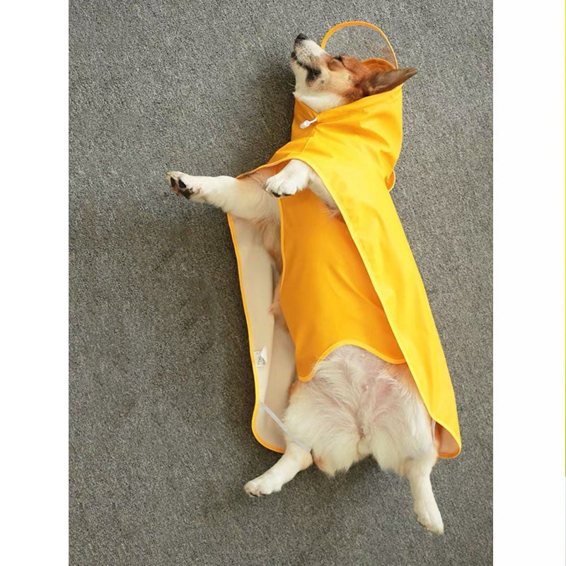 Chubasquero y poncho impermeable para perros con protección abdominal de Dach Everywhere