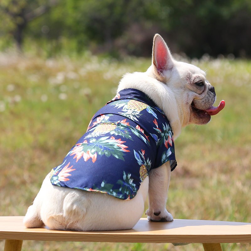 Camisas hawaianas para mascotas