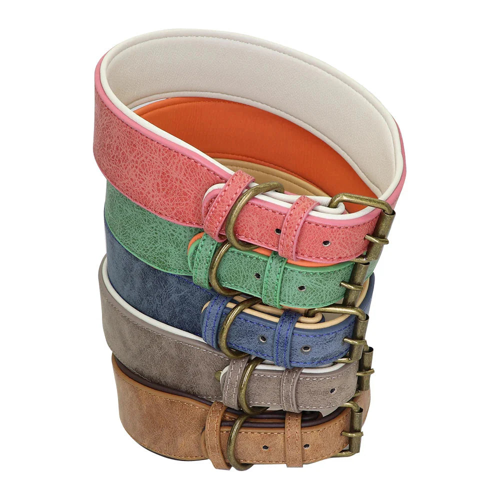 Collier Large Luxe - Cuir rembourré pour grands chiens