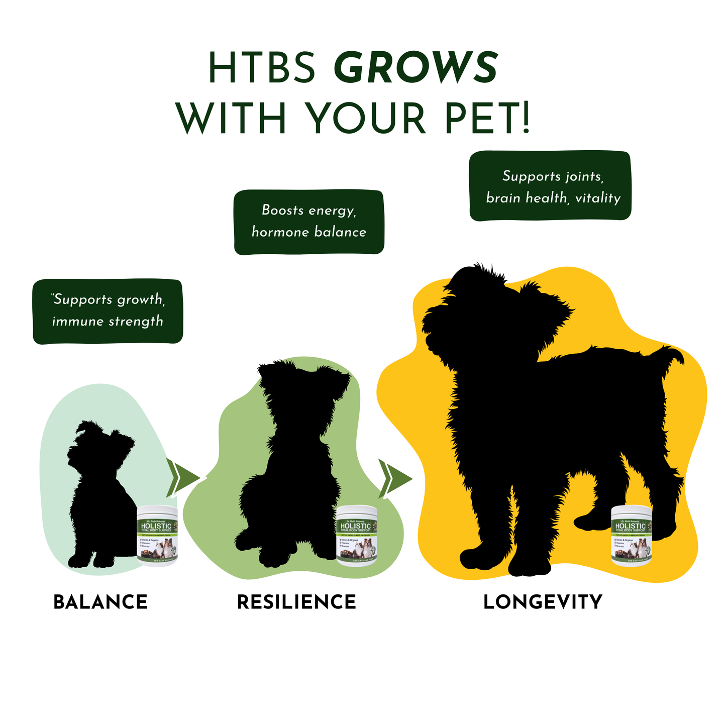 Apoyo holístico para todo el cuerpo: multivitamínico y apoyo glandular para perros y gatos