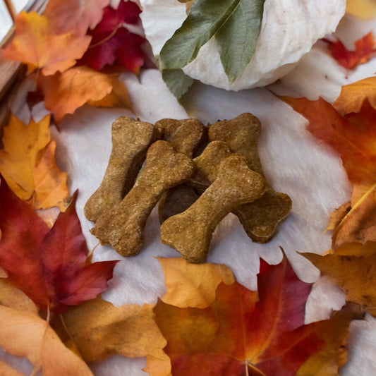 Friandises à la citrouille faibles en gras