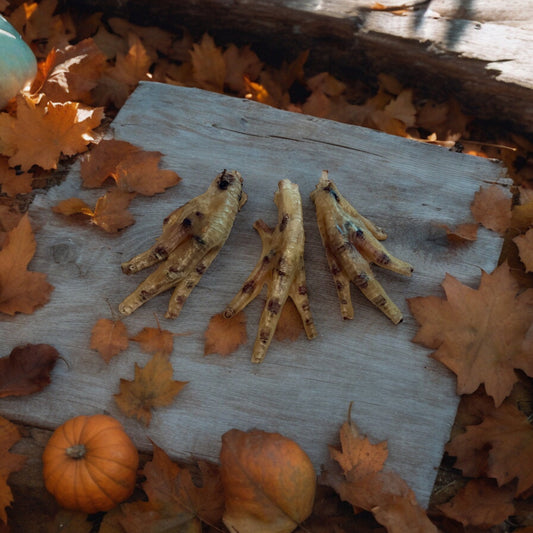 Pattes de poulet déshydratées