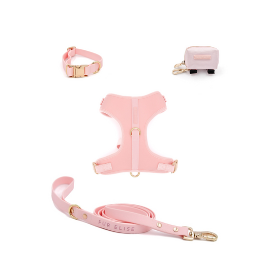 El conjunto esencial para caminar - Rosa