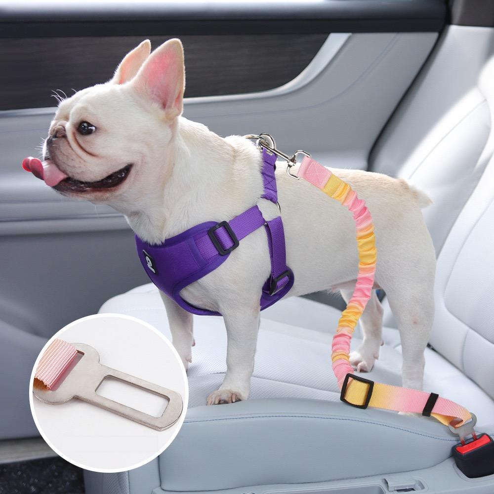 Ceinture de sécurité auto réglable pour animaux de compagnie Milou &amp; Lumi