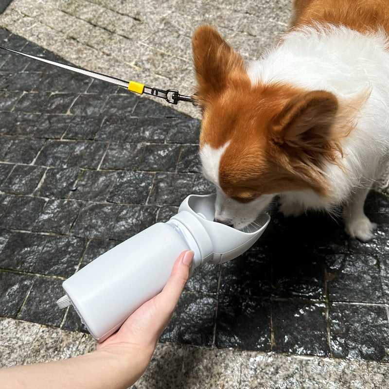 Botella de agua plegable portátil para mascotas Milou &amp; Lumi