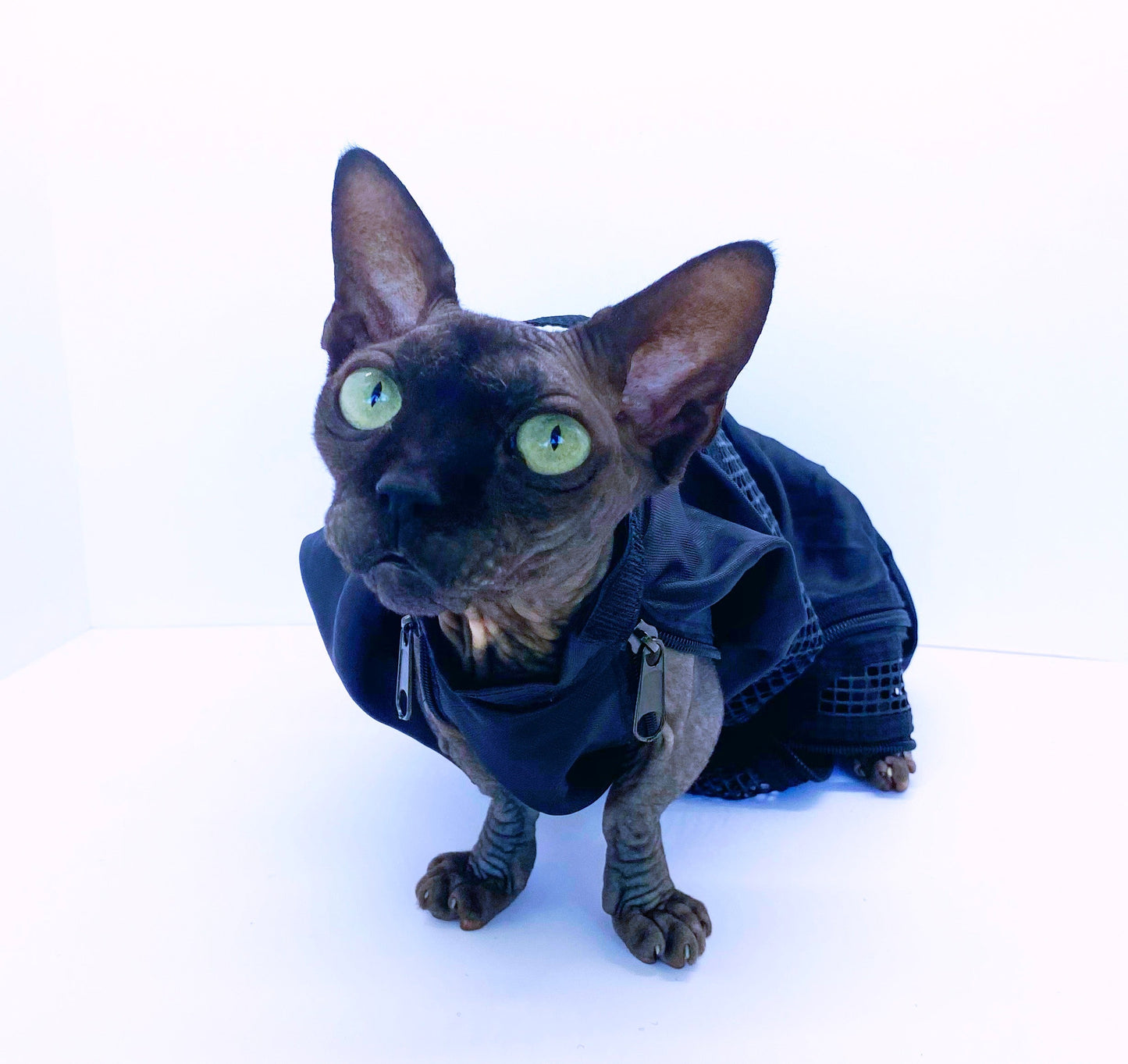 CAT/SMALL DOG GROOMING BAG