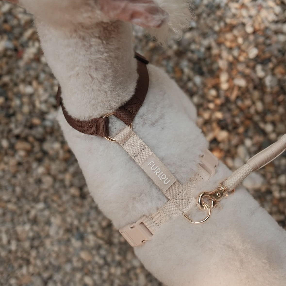 Harnais pour chien marron et beige
