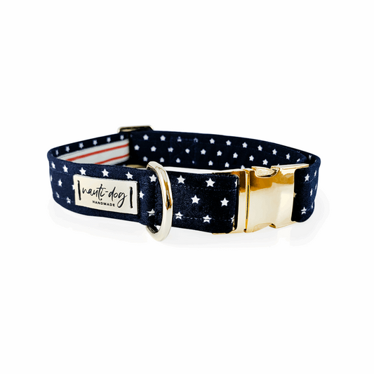 Collier pour chien avec boucle marine et martingale « Independence American Star » patriotique et étoile américaine