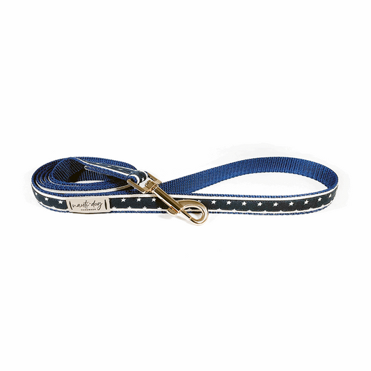 Laisse pour chien avec ruban de la marine, motif étoile américaine patriotique et étoile de l'indépendance