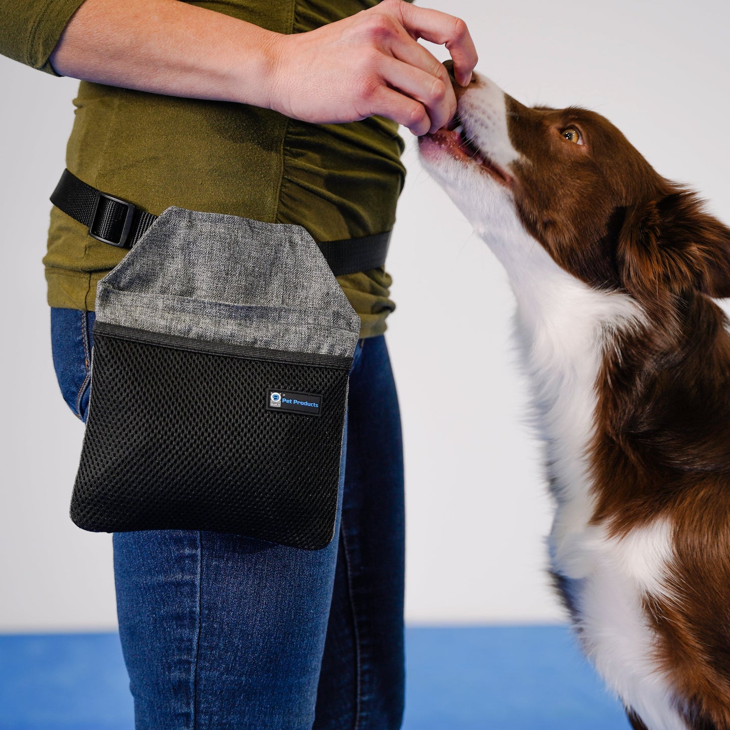 Pochette à friandises et friandises pour l'entraînement canin INSPIRE