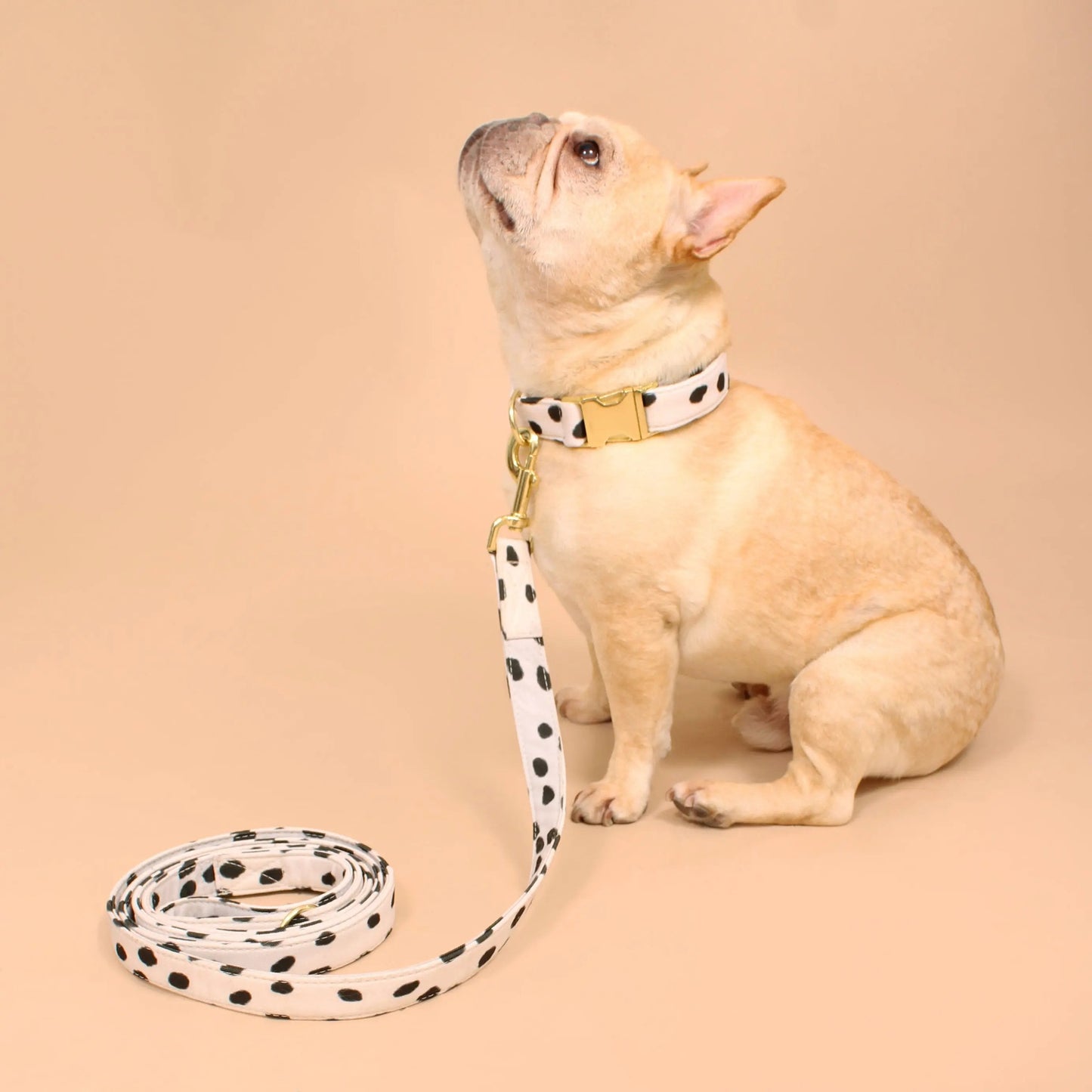 Correa para perros reciclada Manhattan