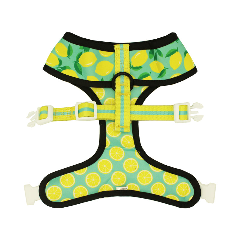 Arnés reversible Worth The Squeeze