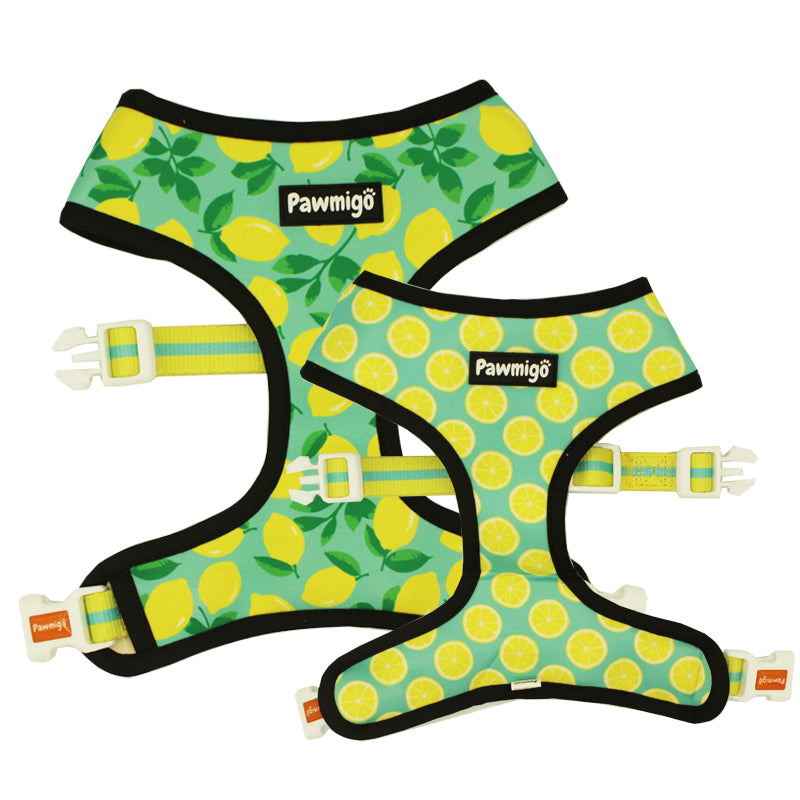 Arnés reversible Worth The Squeeze